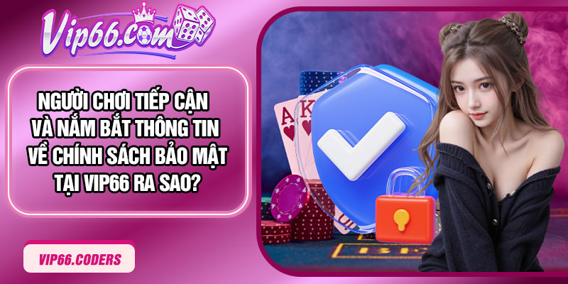 Người chơi tiếp cận và nắm bắt thông tin về Chính Sách Bảo Mật tại Vip66 ra sao?