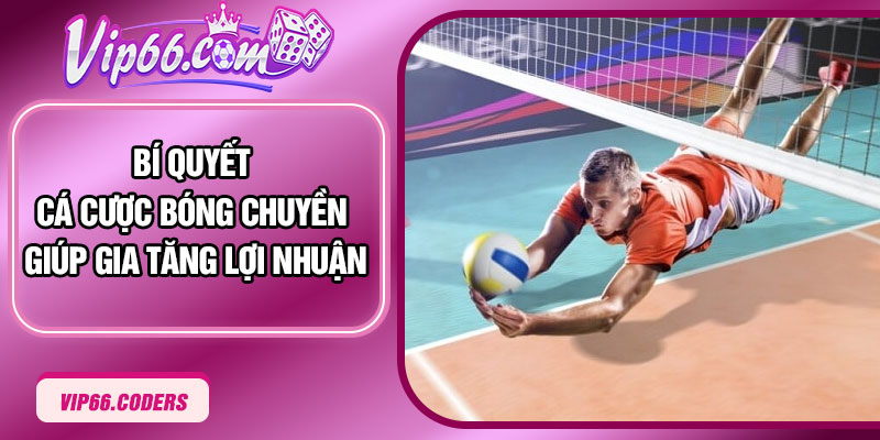 Bí quyết cá cược bóng chuyền giúp gia tăng lợi nhuận