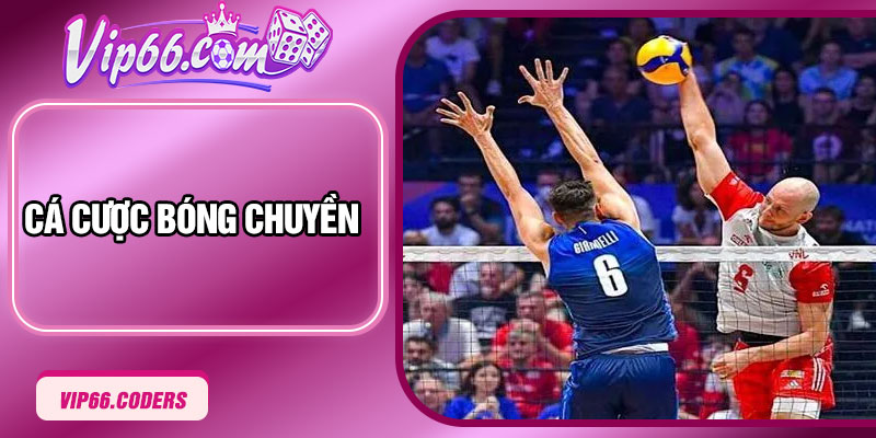 Cá Cược Bóng Chuyền