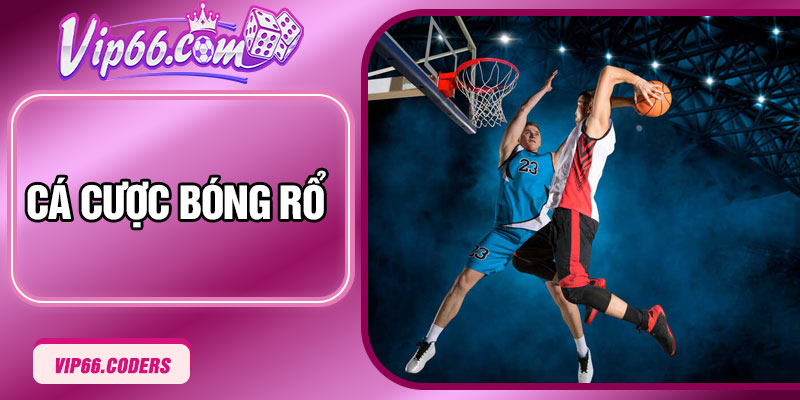 Cá Cược Bóng Rổ