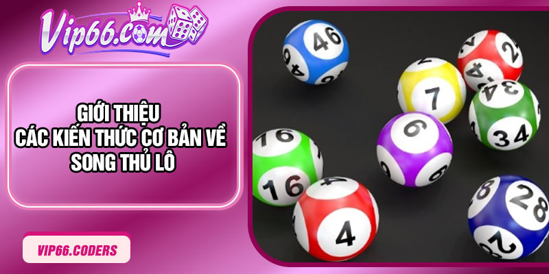 Giới thiệu các kiến thức cơ bản về song thủ lô
