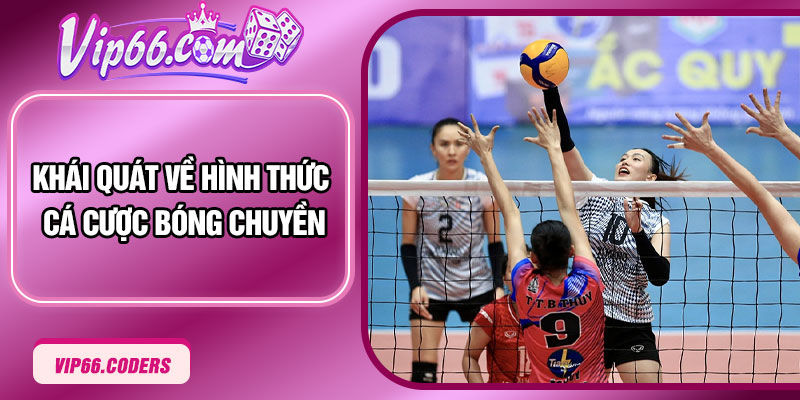 Khái quát về hình thức cá cược bóng chuyền