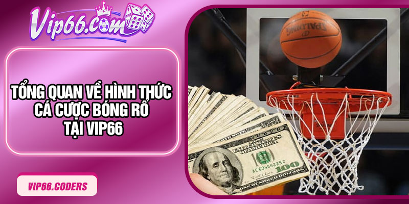 Tổng quan về hình thức cá cược bóng rổ tại Vip66